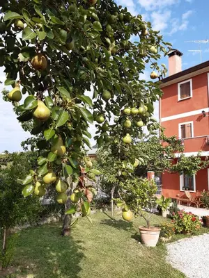 Giardino di B&B Casa del Conte