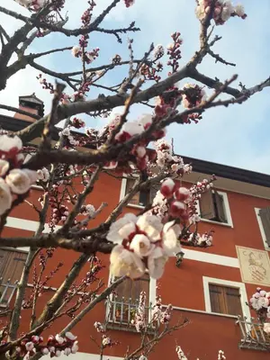 Planimetria di B&B Casa del Conte