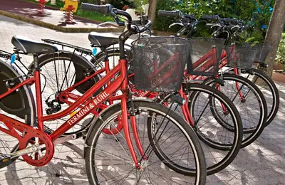 Attività di ciclismo presso l'hotel o nelle vicinanze