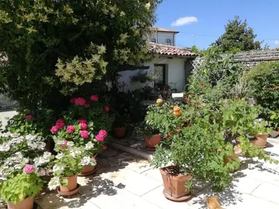 Giardino di B&B LE ORTENSIE