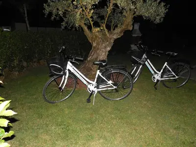 Attività di ciclismo presso il bed & breakfast o nelle vicinanze