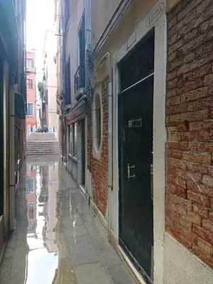 Il quartiere o una zona nella vicinanze dell'appartamento