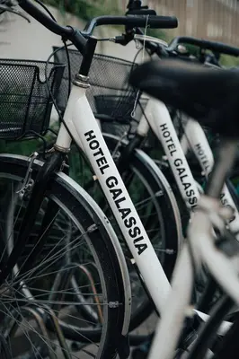 Attività di ciclismo presso l'hotel o nelle vicinanze