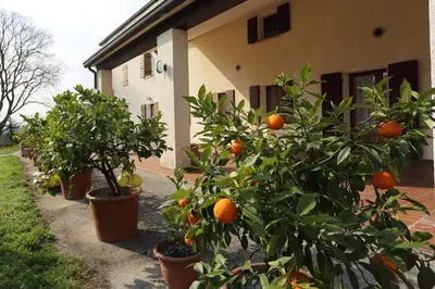 Giardino di Albergo Volpara