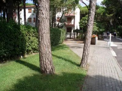 Il quartiere o una zona nella vicinanze dell'appartamento