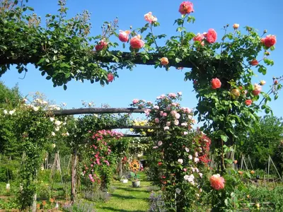 Giardino di Maso Di Villa Relais di Campagna