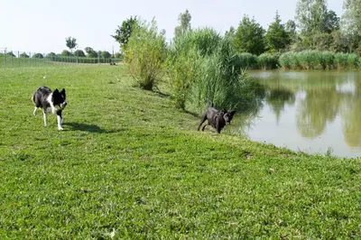 Vista sul fiume nelle vicinanze dell'appartamento