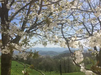 Paesaggio naturale nelle vicinanze dell'appartamento