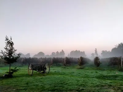 Planimetria di AGRITURISMO Barone Rosso