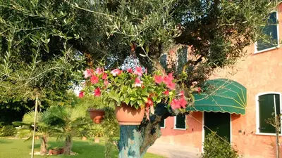 Giardino di Il Farfasole