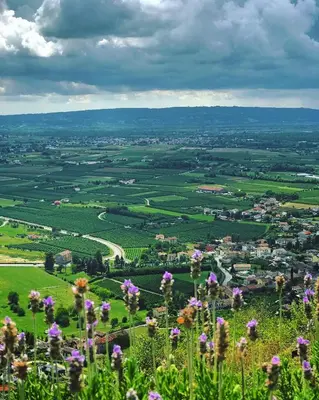 Paesaggio naturale nelle vicinanze dell'appartamento