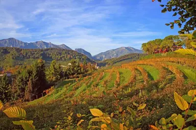 Paesaggio naturale nelle vicinanze dell'appartamento