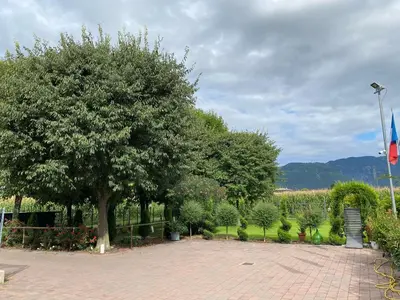 Paesaggio naturale nelle vicinanze del bed & breakfast