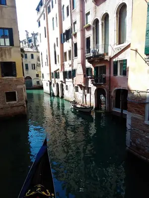 Vista sul fiume nelle vicinanze dell'appartamento
