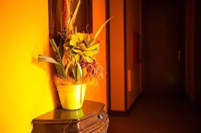 Planimetria di Hotel Agli Olmi