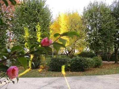 Giardino di Luxury House B&B