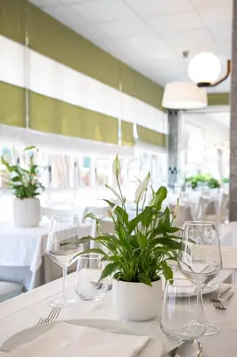 Ristorante o altro punto ristoro di Hotel Grottamare