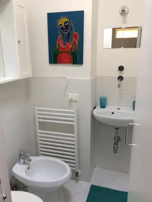 Bagno di Mansarda Santa Giustina