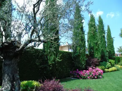 Giardino di B&B Ai Cipressi