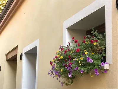 Giardino di Little Canal 19