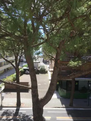 Il quartiere o una zona nella vicinanze dell'hotel