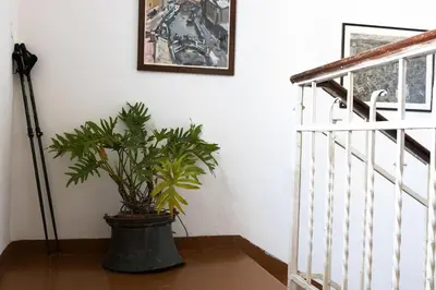 Planimetria di Dimora storica, appartamento in Villa Pampinuccia