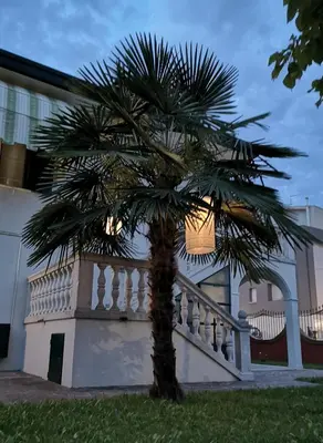 Edificio in cui si trova la casa vacanze