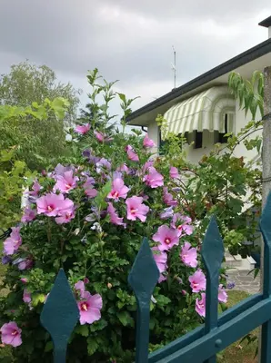 Giardino di Casa del Vigneto