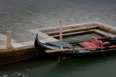 Vista sul fiume nelle vicinanze dell'appartamento
