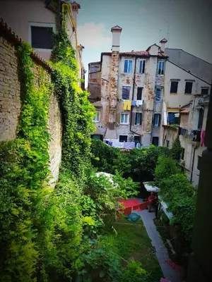 Giardino di B&B Venice 1964