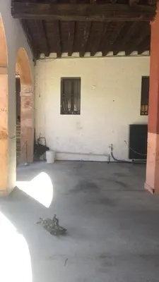 Planimetria di Alla vigna