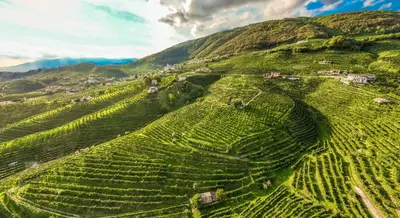 Paesaggio naturale nelle vicinanze del bed & breakfast
