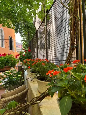 Giardino di B&B Beroni a Venezia