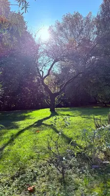Giardino di B&B Villa Gradenigo