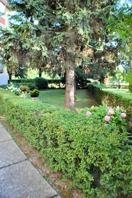 Giardino di Casa Felice