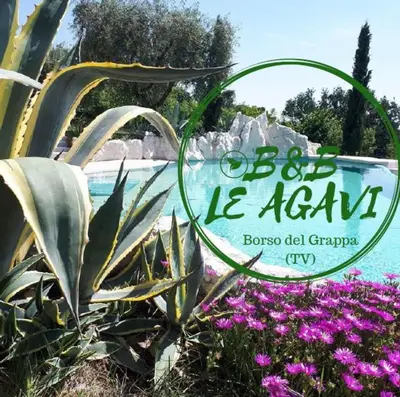 Giardino di B&B LE AGAVI