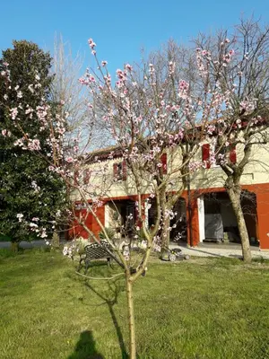 Giardino di Tenuta Crescentini-ValleMura ,appartamenti con entrata indipendente