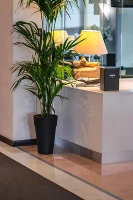Cibo presso l'hotel o nelle vicinanze