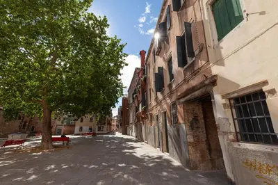 Il quartiere o una zona nella vicinanze dell'appartamento