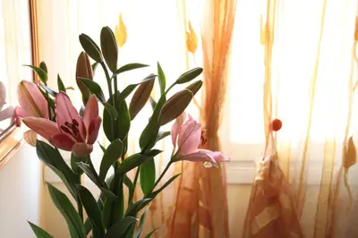 Planimetria di Residence Al Bacareto