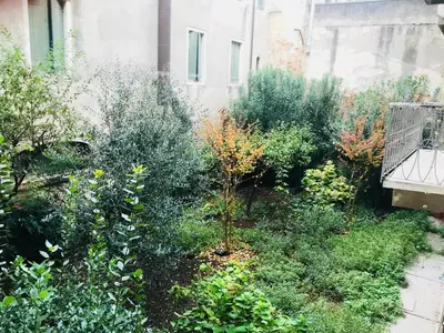 Giardino di Cruise Studio
