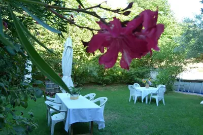 Giardino di Residence Tenuta Gambalonga
