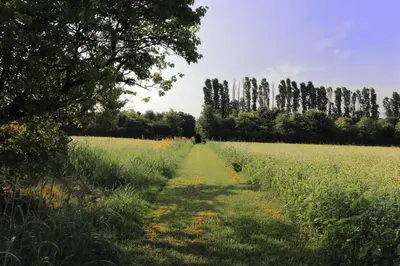Paesaggio naturale nelle vicinanze dell'appartamento