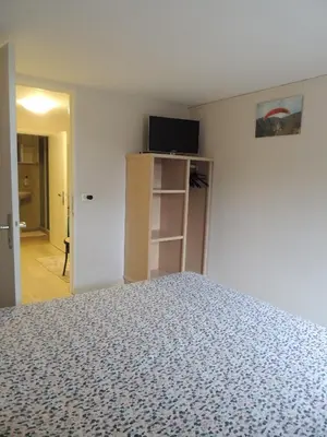 TV o dispositivi per l'intrattenimento presso VOLOLIBEROAPARTMENTS 2