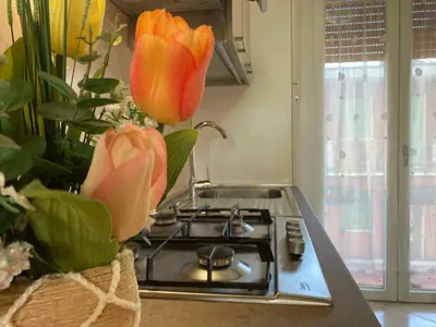 Cucina o angolo cottura di Holiday home in Rosolina Mare 27838