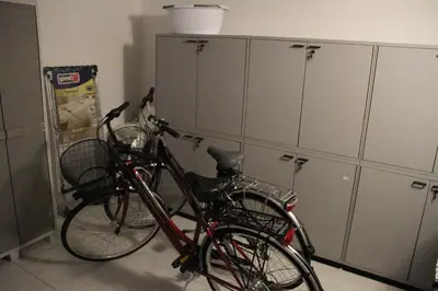 Attività di ciclismo presso l'appartamento o nelle vicinanze
