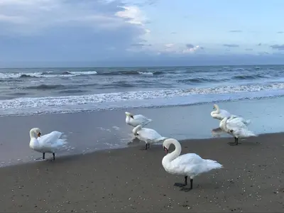 Paesaggio naturale nelle vicinanze dell'appartamento