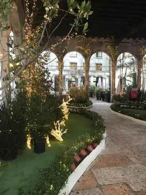Giardino di Cosy Flat