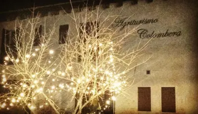 Planimetria di Agriturismo Colombera