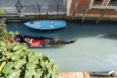 Vista sul fiume nelle vicinanze dell'appartamento
